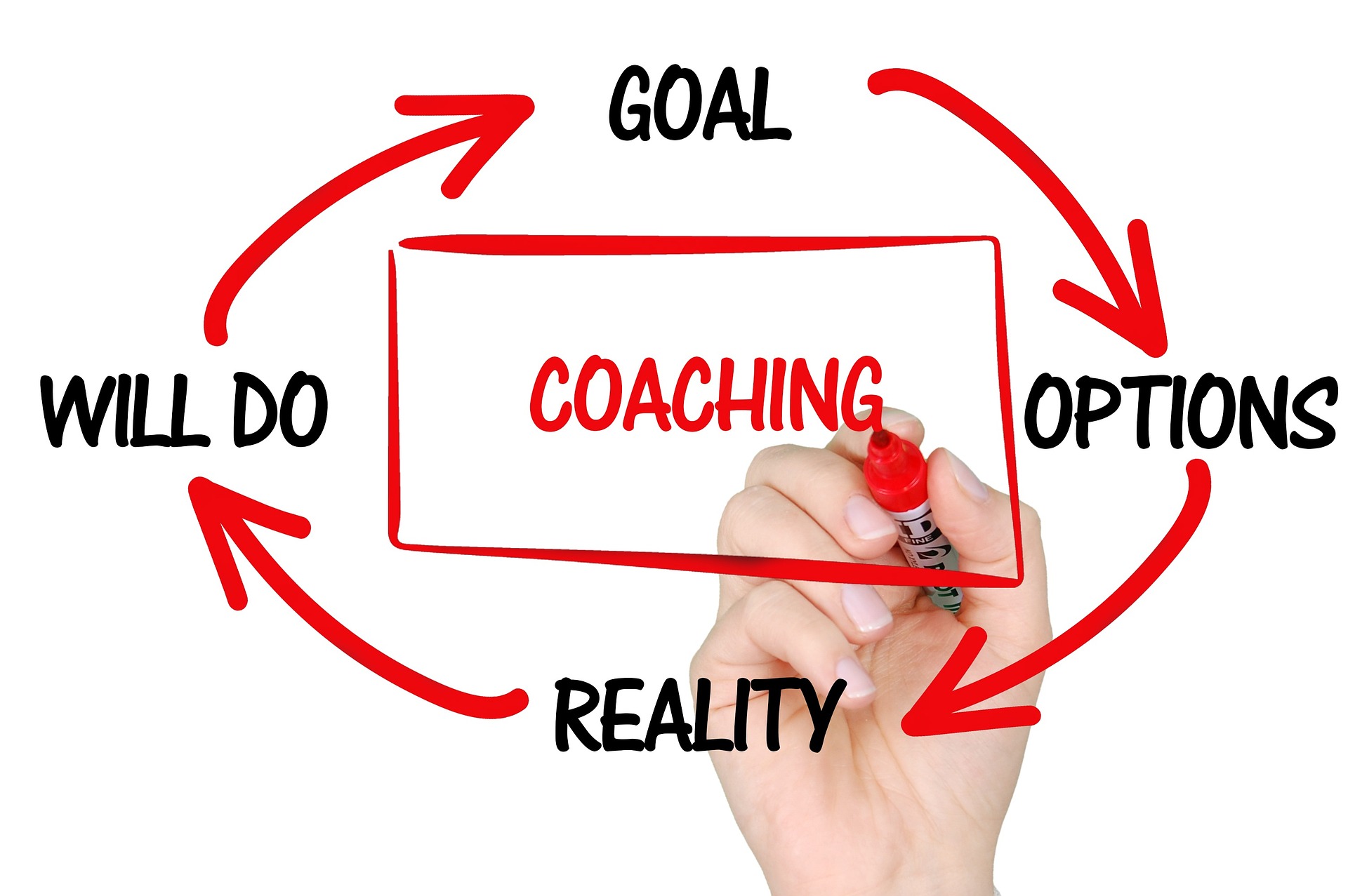 understanding-the-role-of-a-business-coach-how-they-can-help-your-company-grow-and-thrive